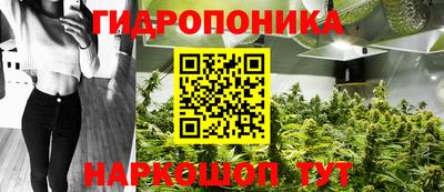 spice Кизляр
