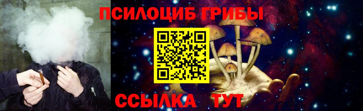 Галлюциногенные грибы Cubensis Кстово